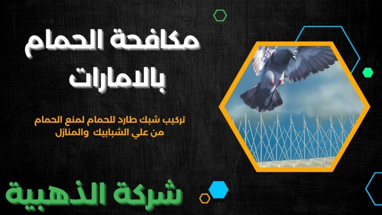 التخلص من الحمام من علي الشبابيك