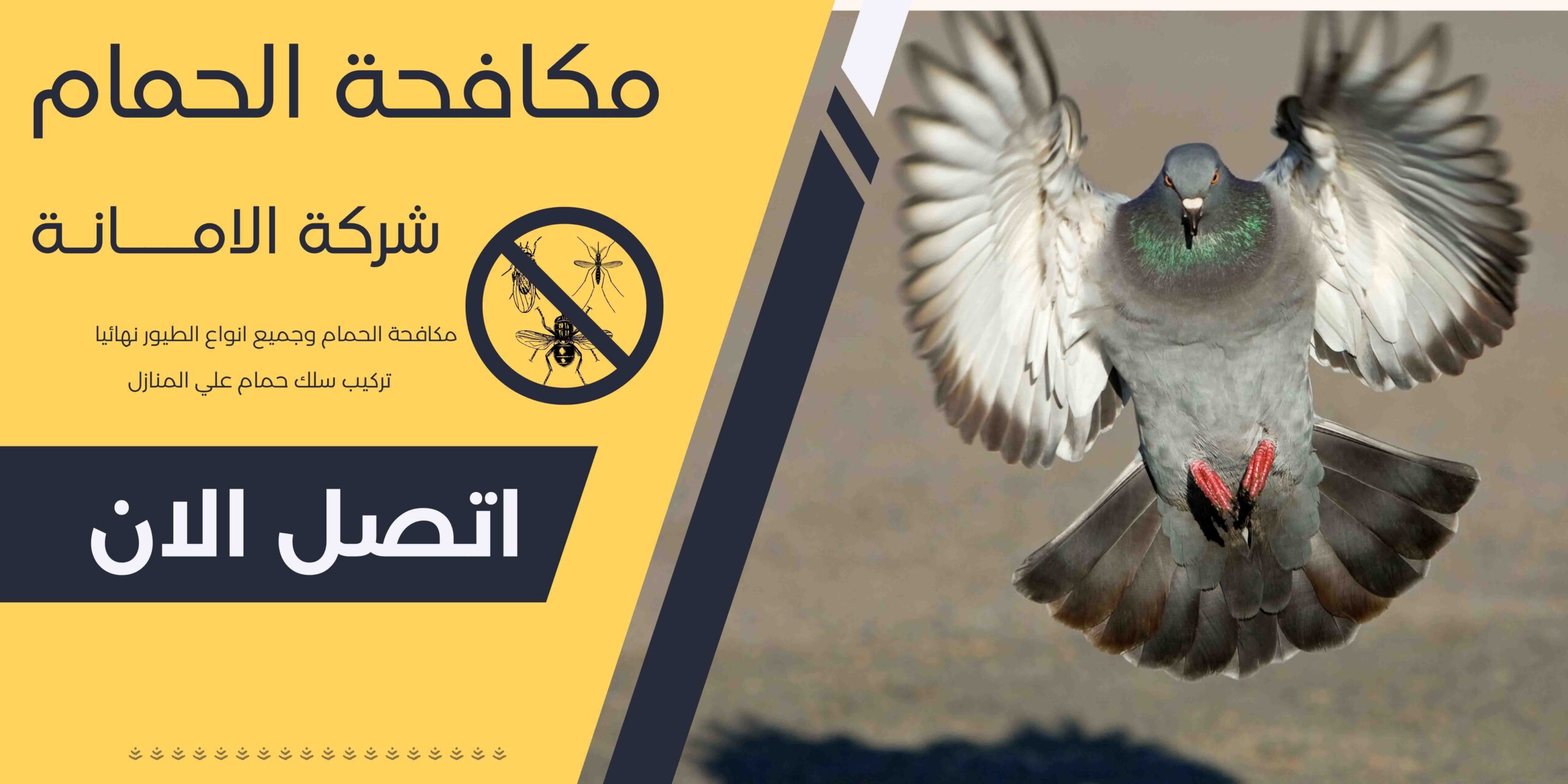 شركات مكافحة الحمام